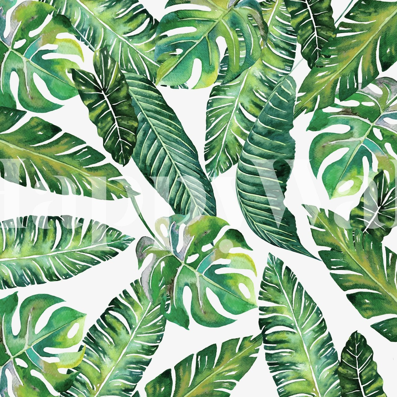 Jungle Leaves Banana Monstera papier peint dans une pièce