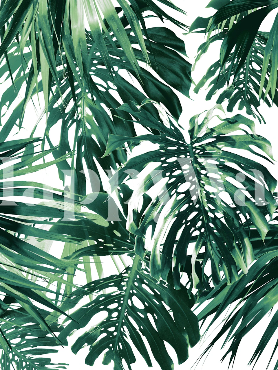 weelderige groene tropische junglebladeren wandkunst