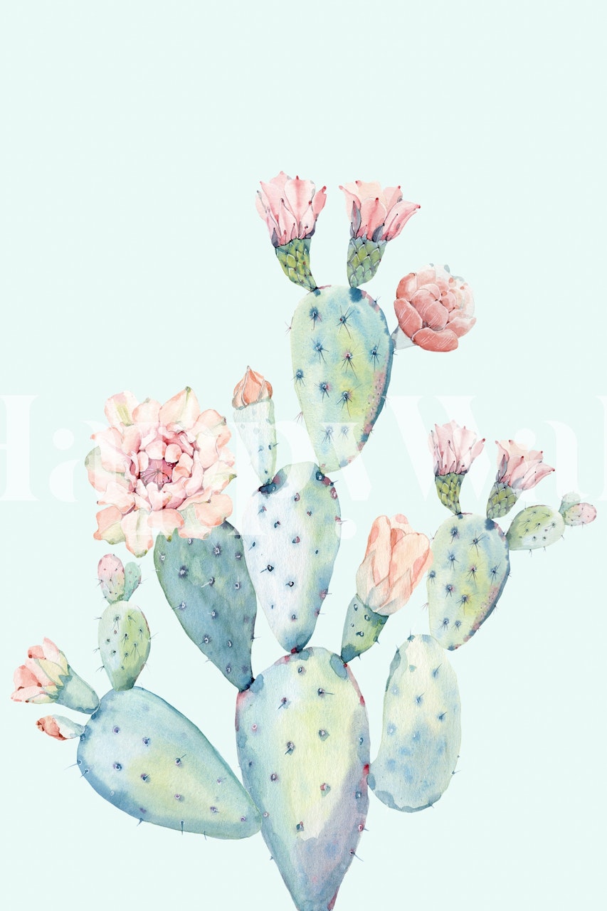 Cactus plants with pink flowers in light green background wallpaper