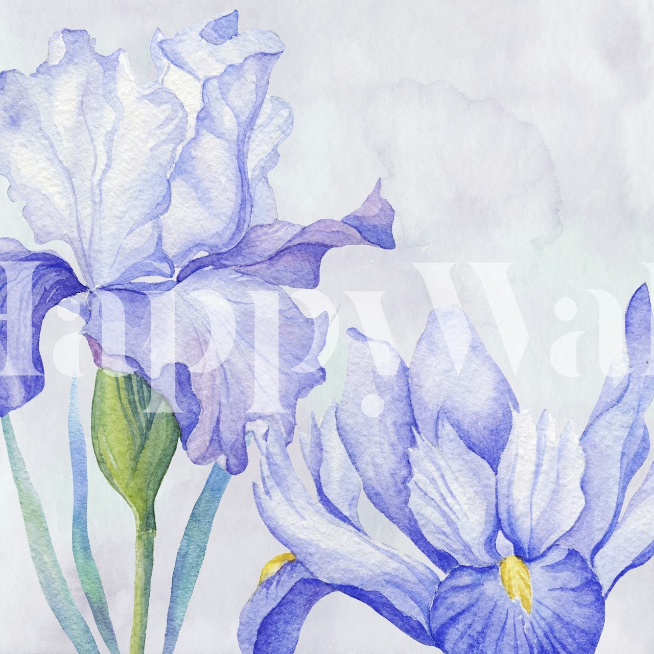 High-quality Watercolor Iris wall mural