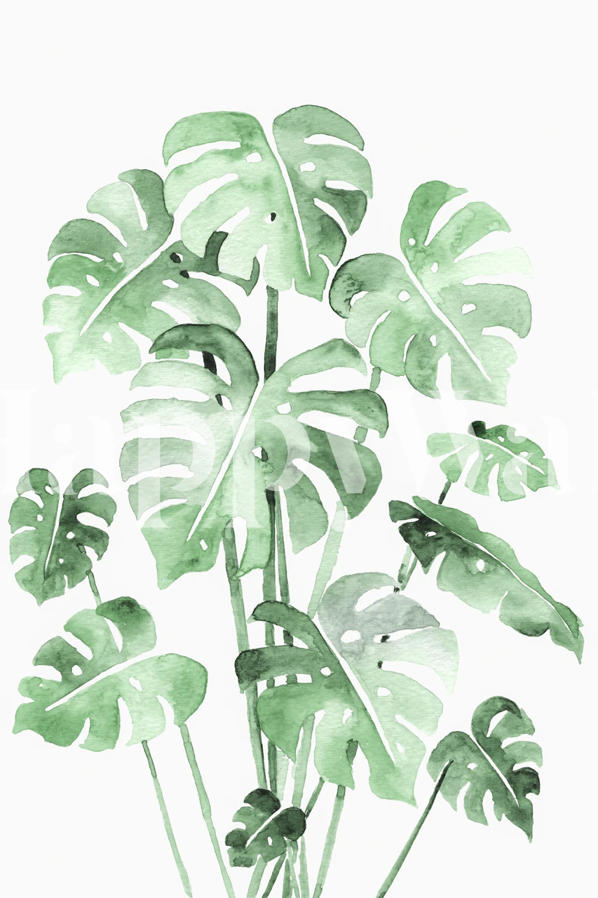 Tropical green Monstera leaves on a soft white background wallpaper