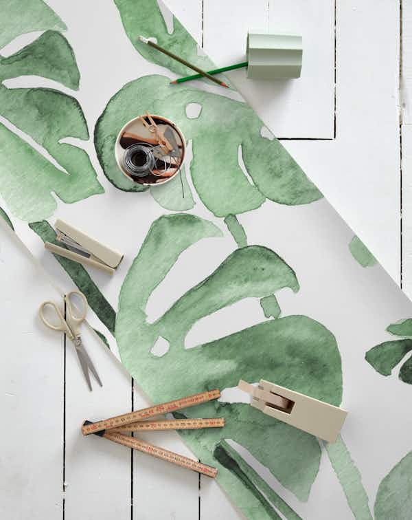 Delicate Monstera Green wallpaper roll