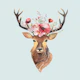 Bohemian Deer