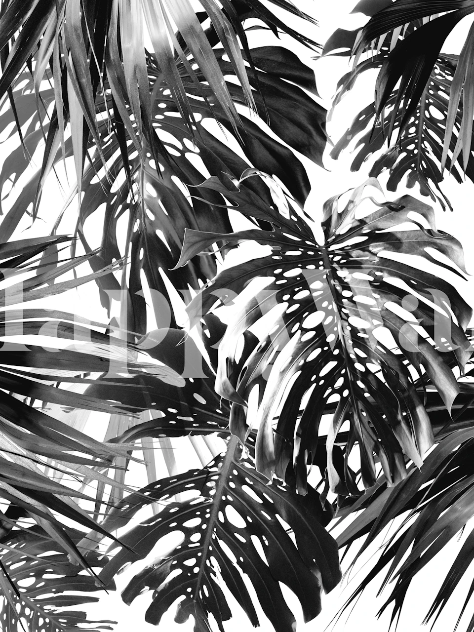 Vivid Tropical Jungle 2 wallpaper in a room