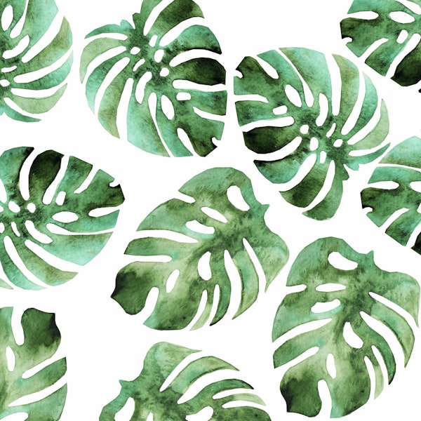 Monstera Pattern
