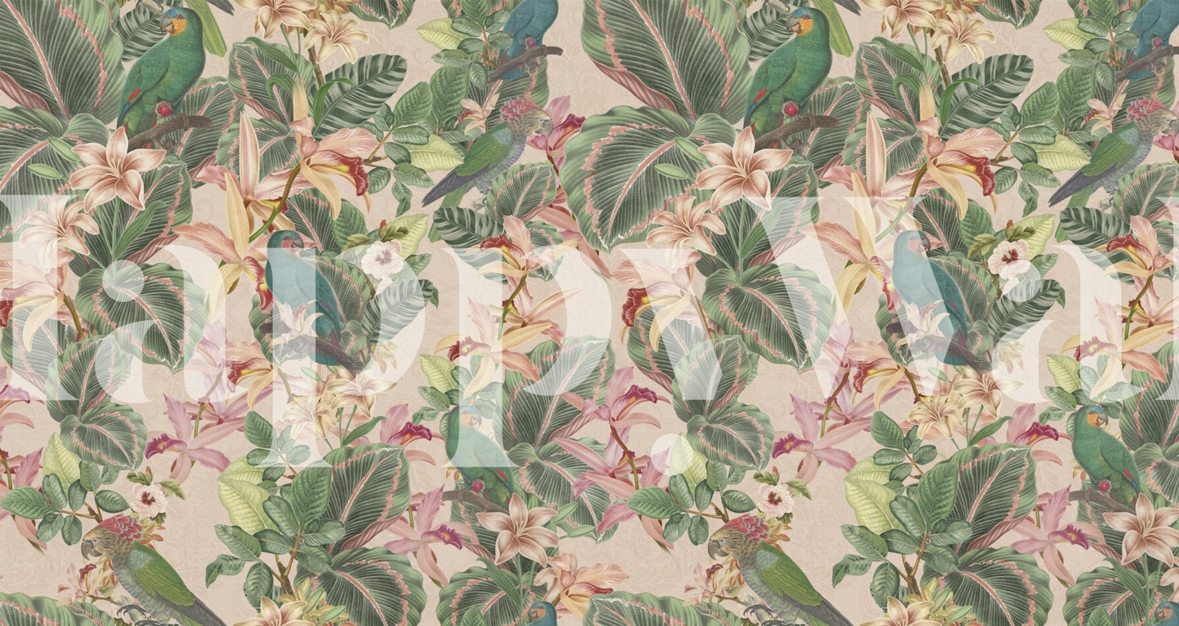 Tropical birds and flowers wallpaper in a room
