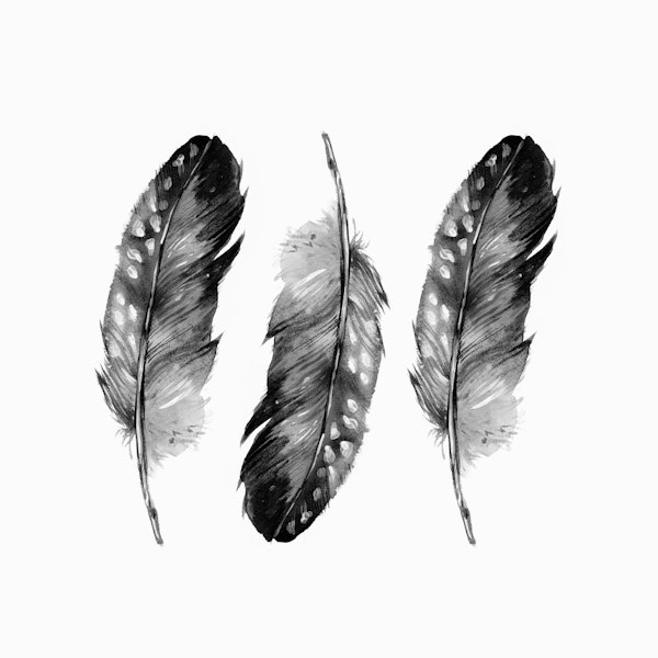 Three Feathers Black And White