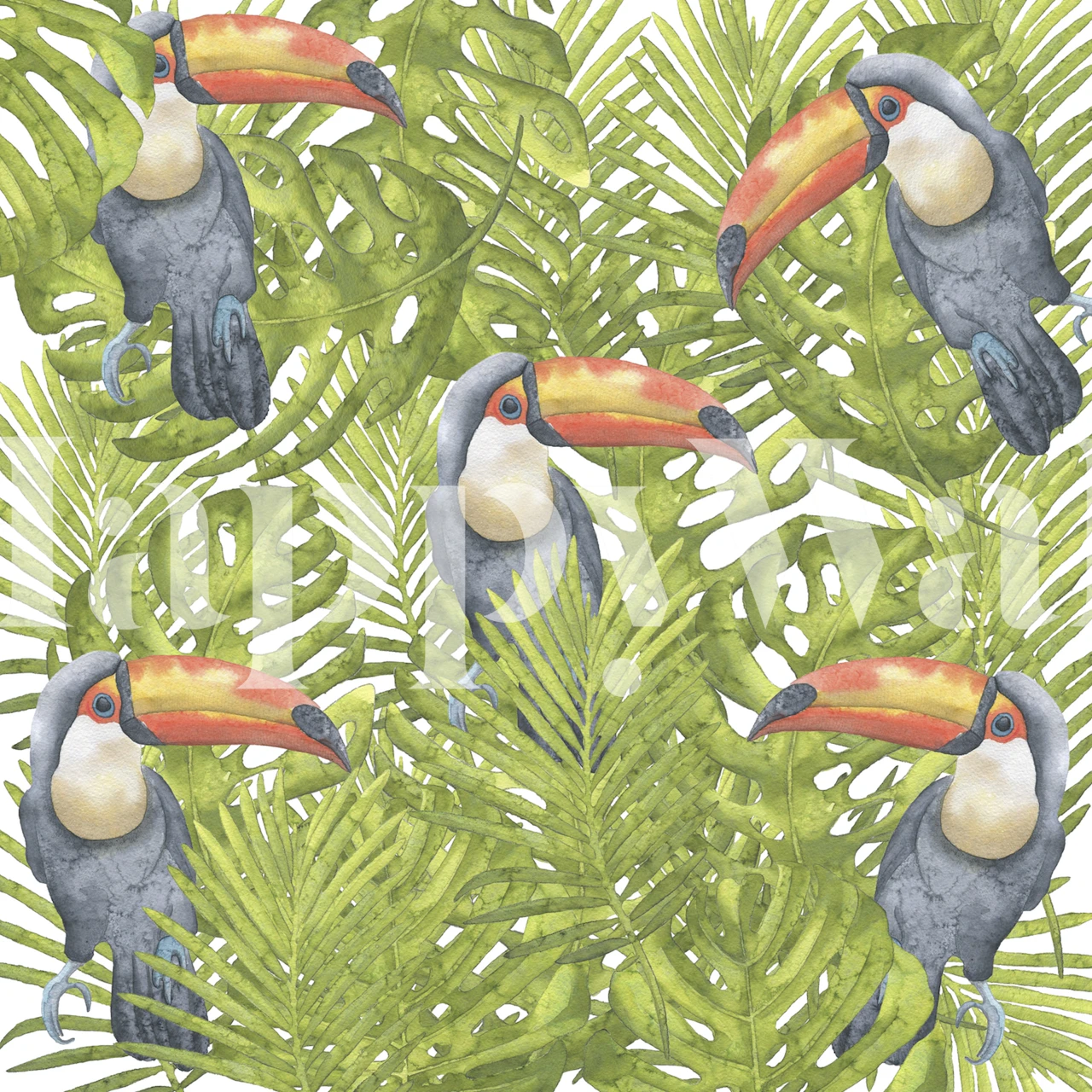 Toucan wallpaper design in a room