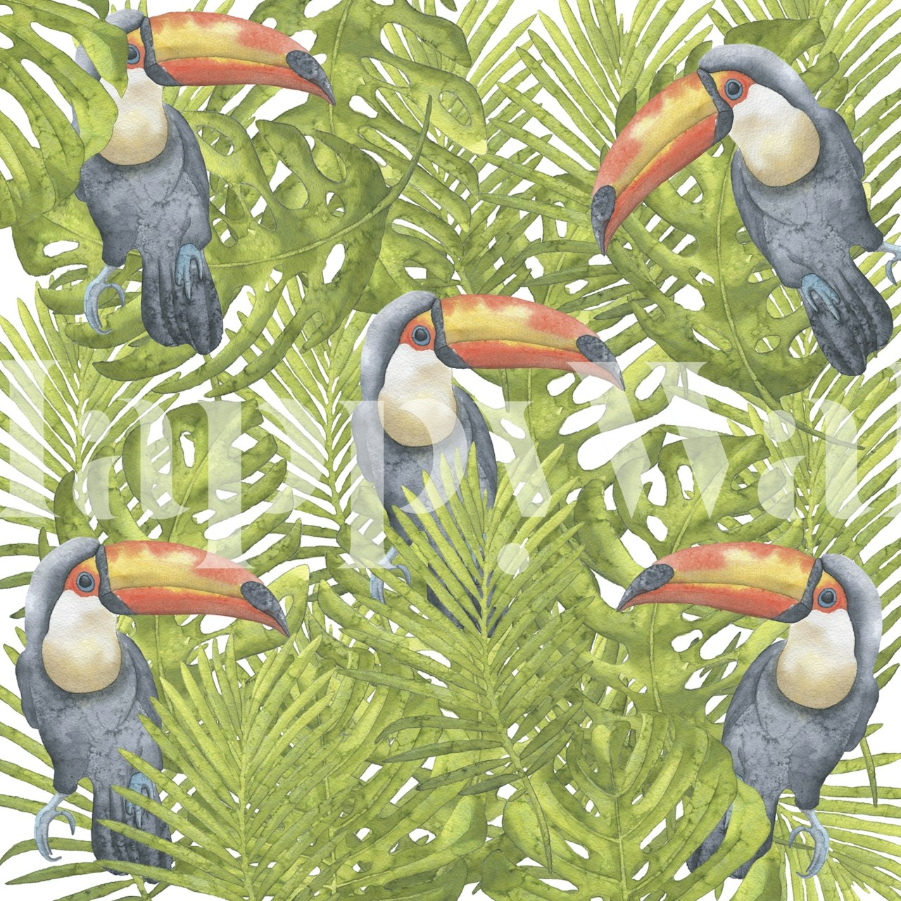Toucan wallpaper design in a room