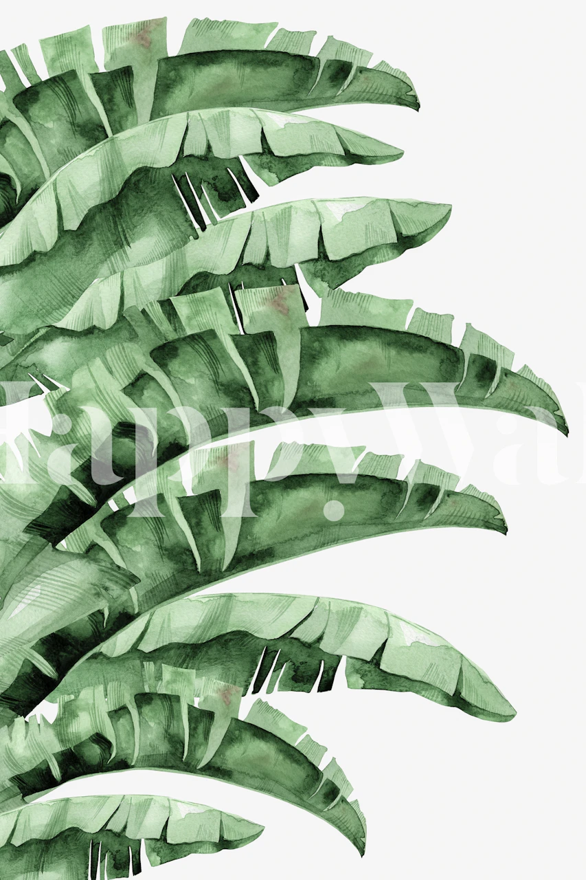 Banana Green wallpaper design in a room