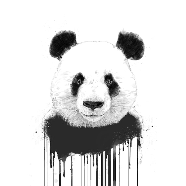 Graffiti panda