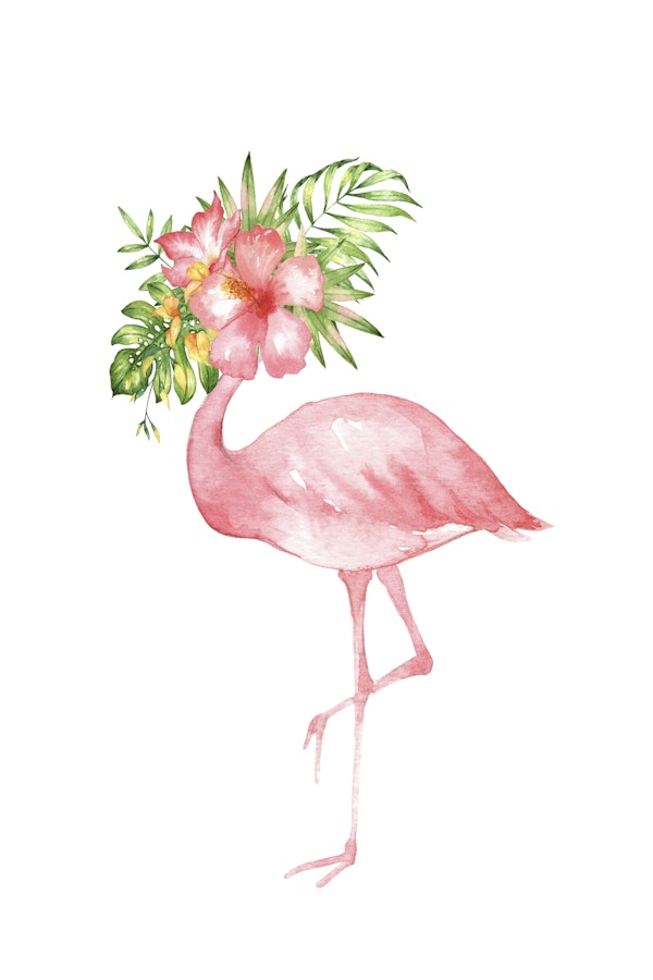 Flamingo Dreams