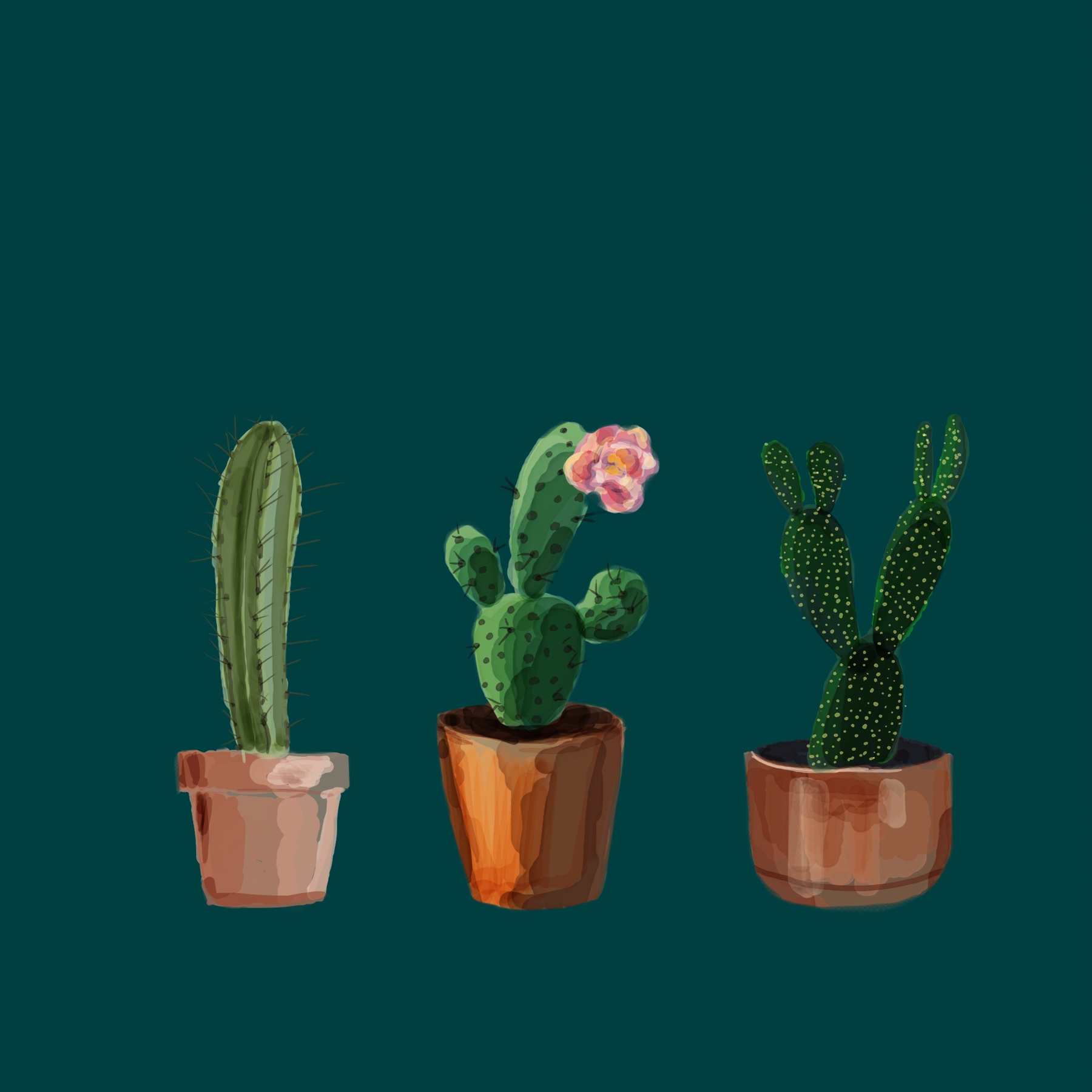 Three Cacti Green Wallpaper - Happywall