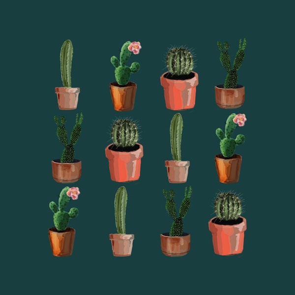 Various Cacti Green