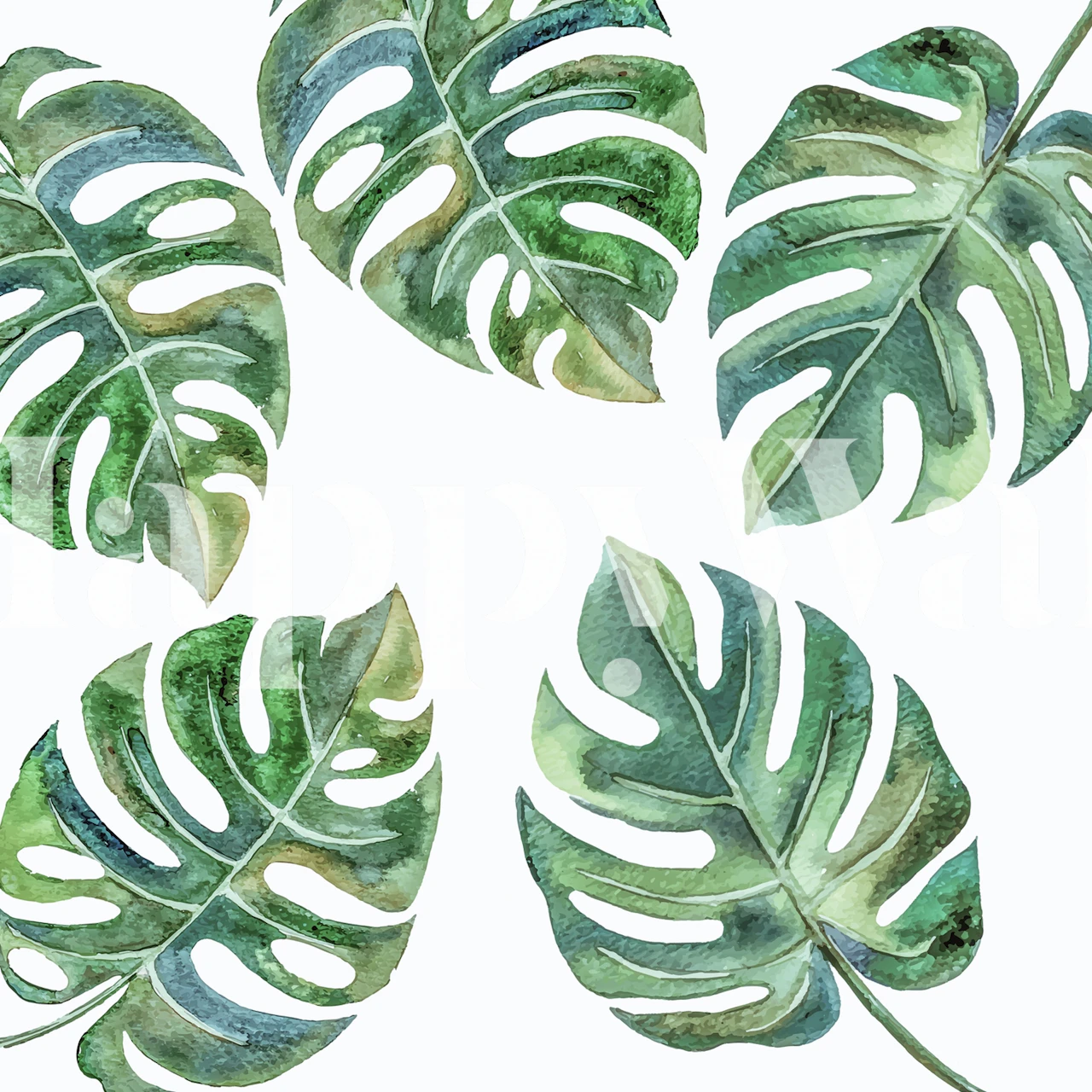 Monstera leaves in various shades of green wallpaper