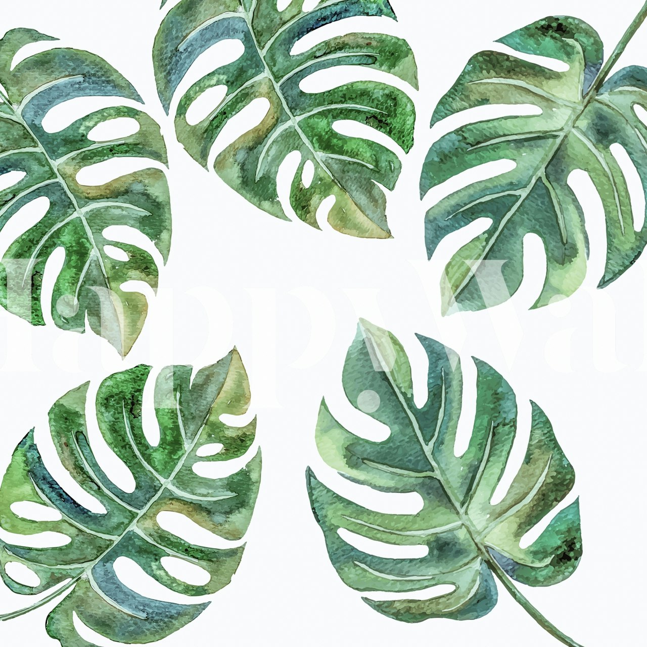 Monstera leaves in various shades of green wallpaper