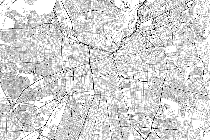 Santiago Map Wallpaper | Happywall.com