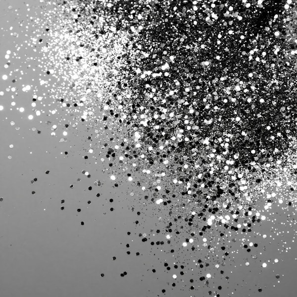 Silver Gray Lady Glitter 1