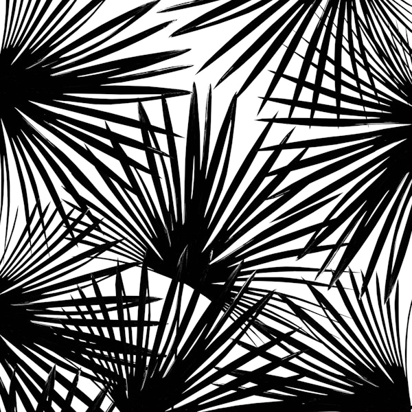 Tropical Fan Palm Leaves 2
