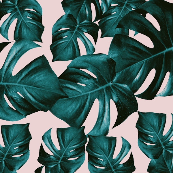 Monstera Leaves Pattern 4