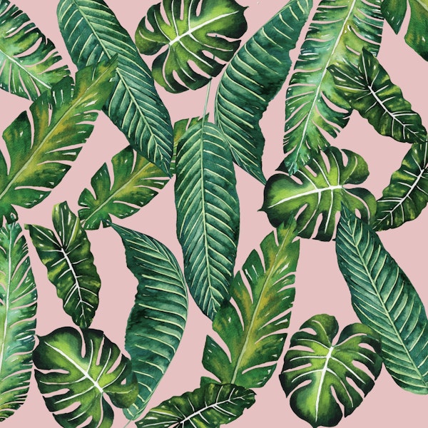 Jungle Leaves Banana 2 Pink