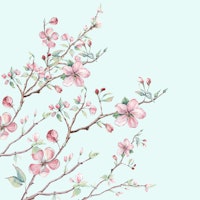 Apple Blossom Mint behang