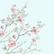 Apple Blossom Mint