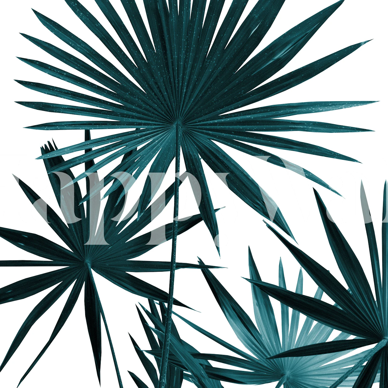 Fan Palm Leaves Jungle 1 i et rum