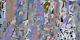 Pollock Wink 10