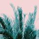 Tropical Leaves Dream 6