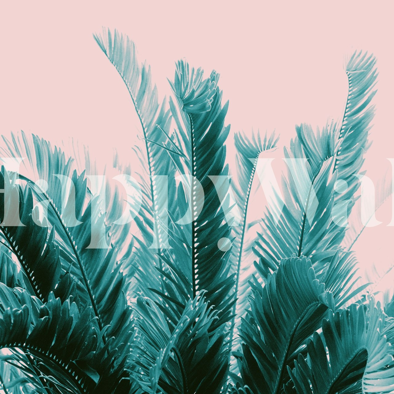 Tropical Leaves Dream 6 με ήρεφο πράσινο φύλλωμα