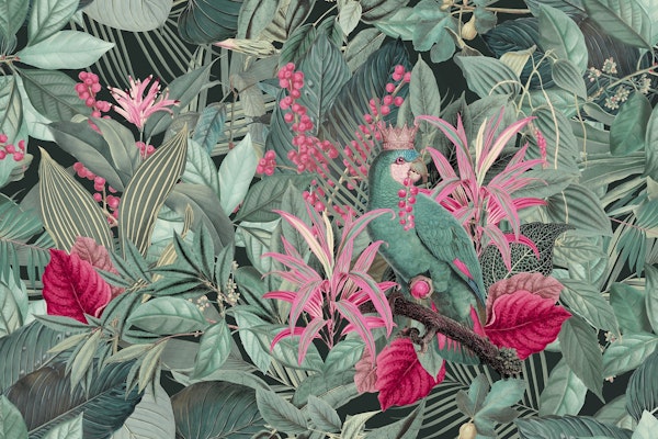 Parrot King Jungle Paradise