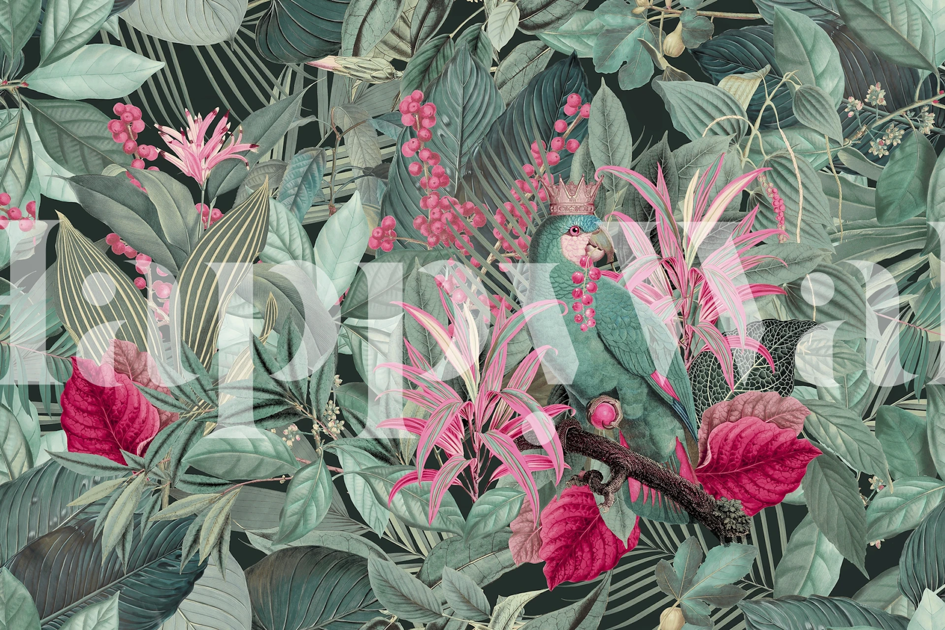 Parrot King Jungle Paradise wallpaper in a room