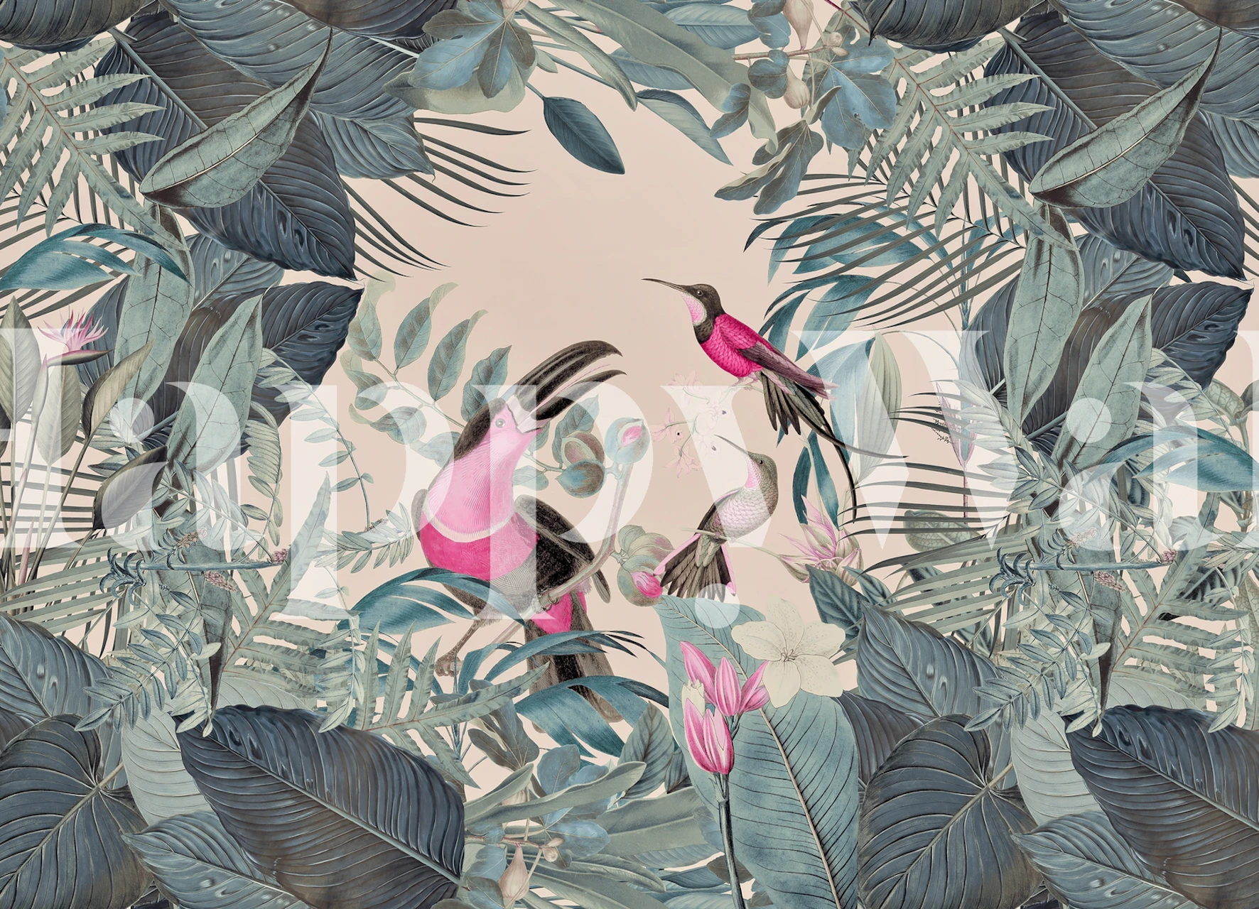 Fototapeta Tukani a tropická zeleň