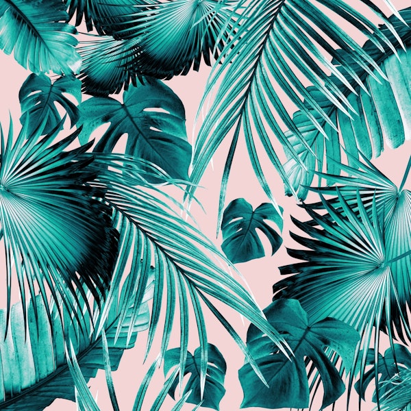 Tropical Jungle Dream 4