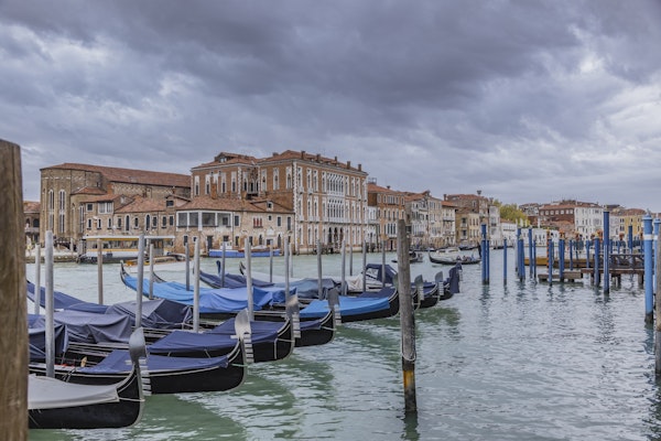 Venice Canale Grande Gondolas