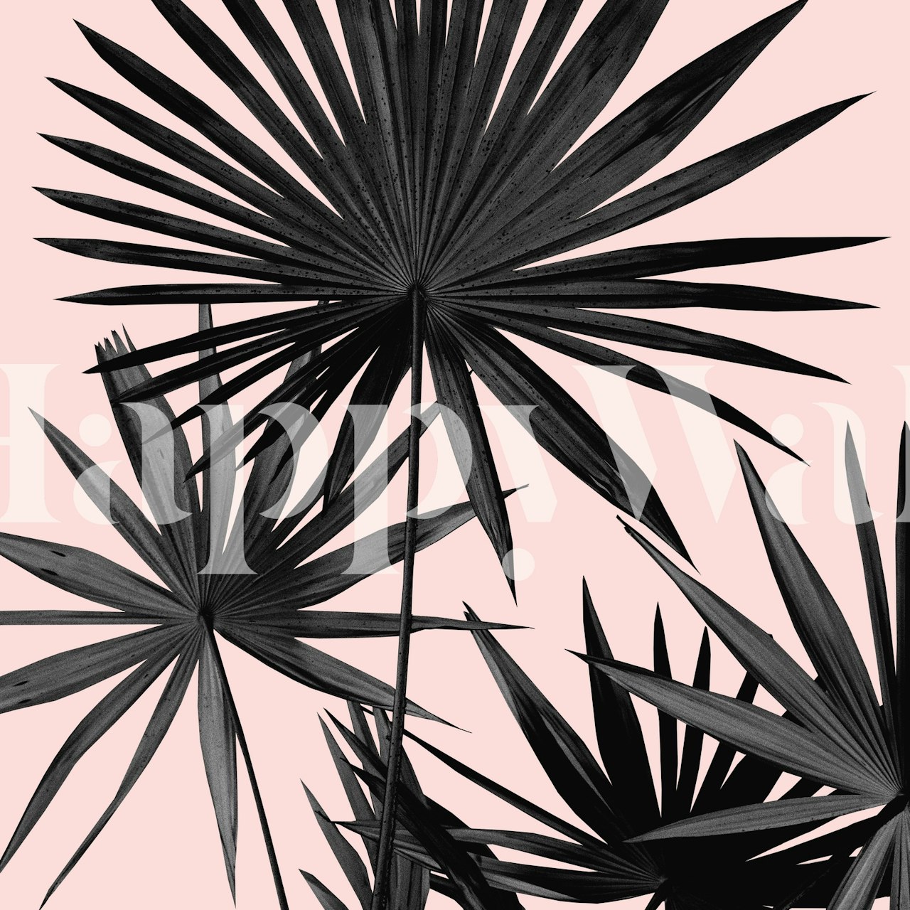 Fan palm leaves on a pink background wall mural