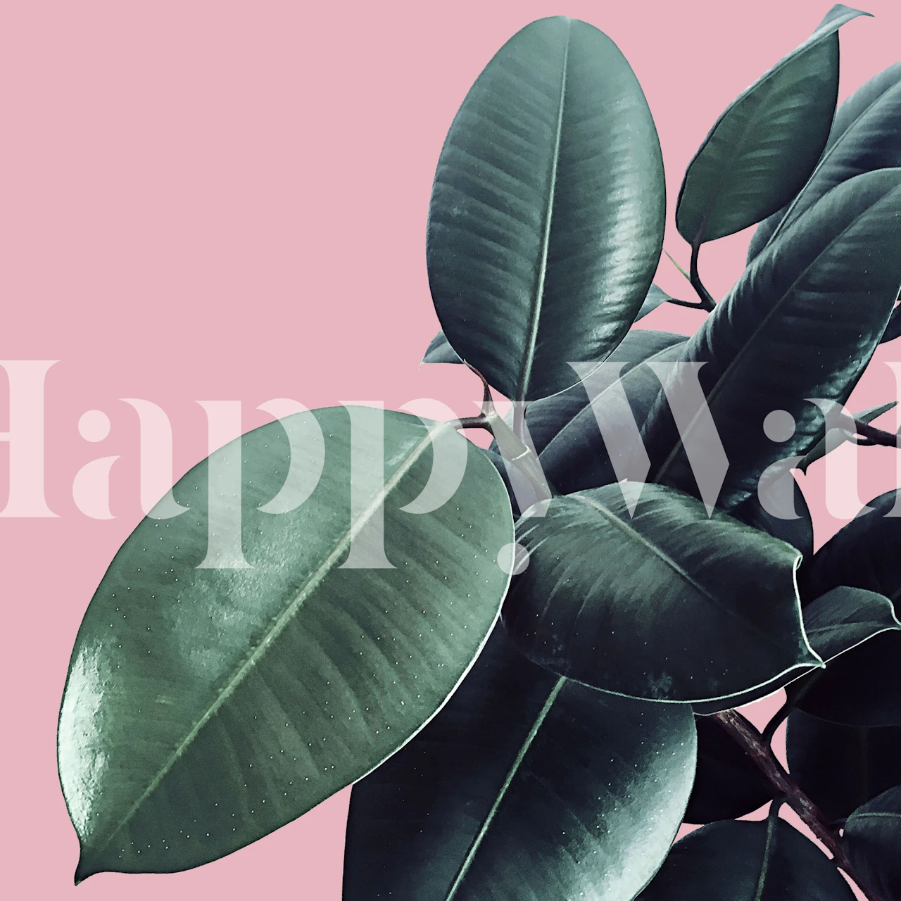 Design de papier peint Ficus Elastica dans une pièce