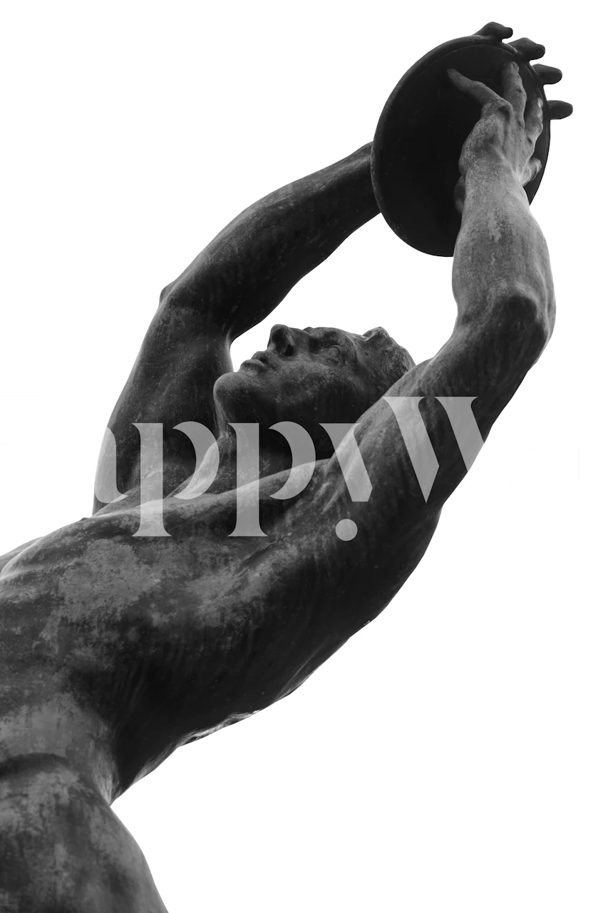 carta da parati Olympic Discus Thrower in una stanza