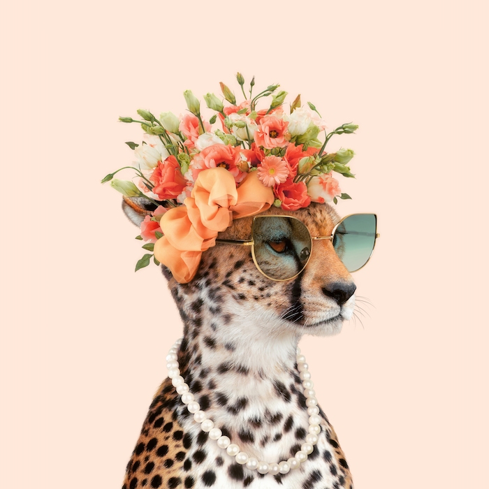 Royal Cheetah