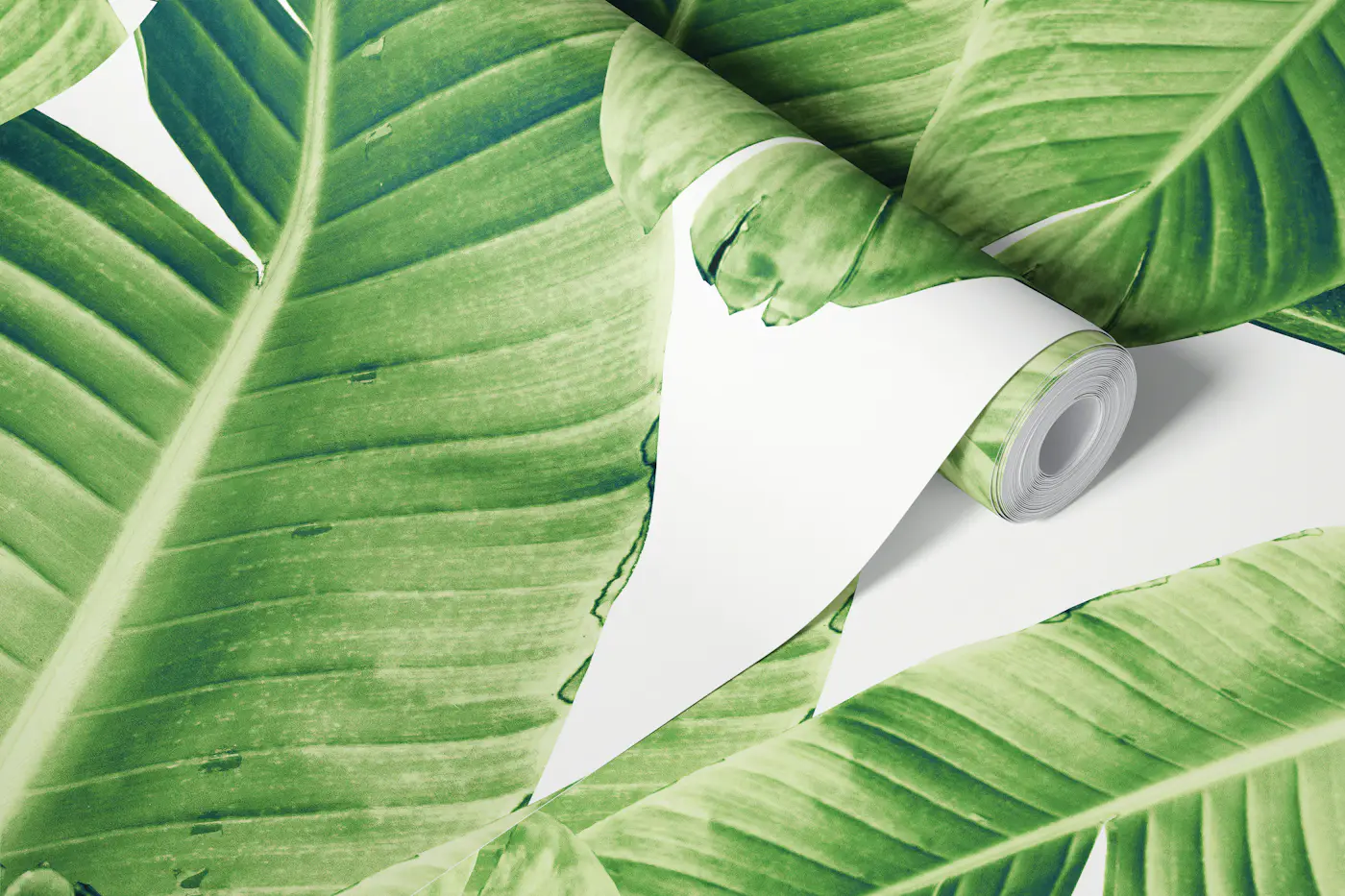 Banana Leaves Jungle 1a wallpaper roll