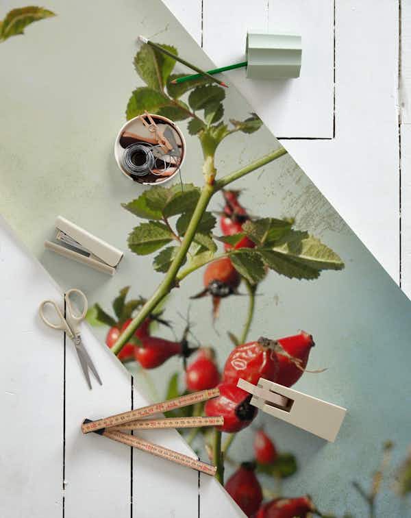 Rosehips wallpaper roll