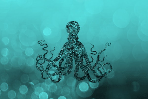 Octopus Mystic World