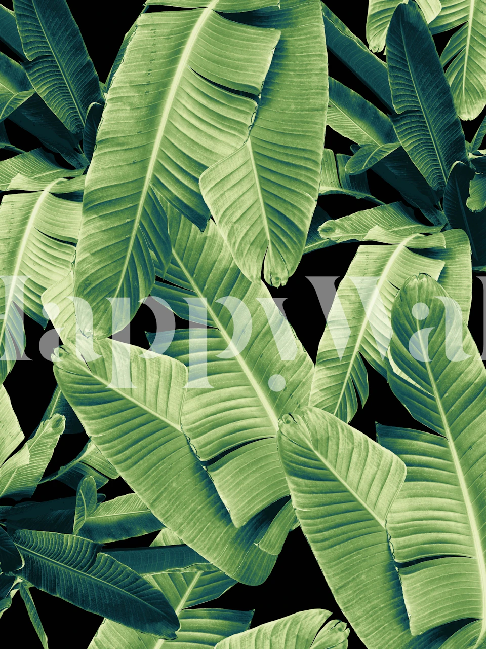 Banana Leaves Night Jungle tapetti huoneessa