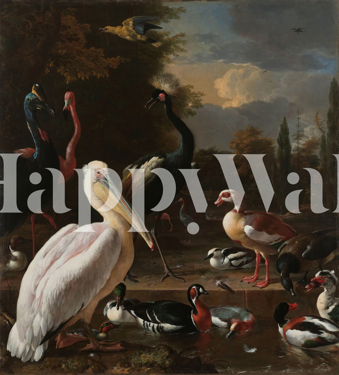 Colorful waterfowl swimming in a pool with trees wallpaper