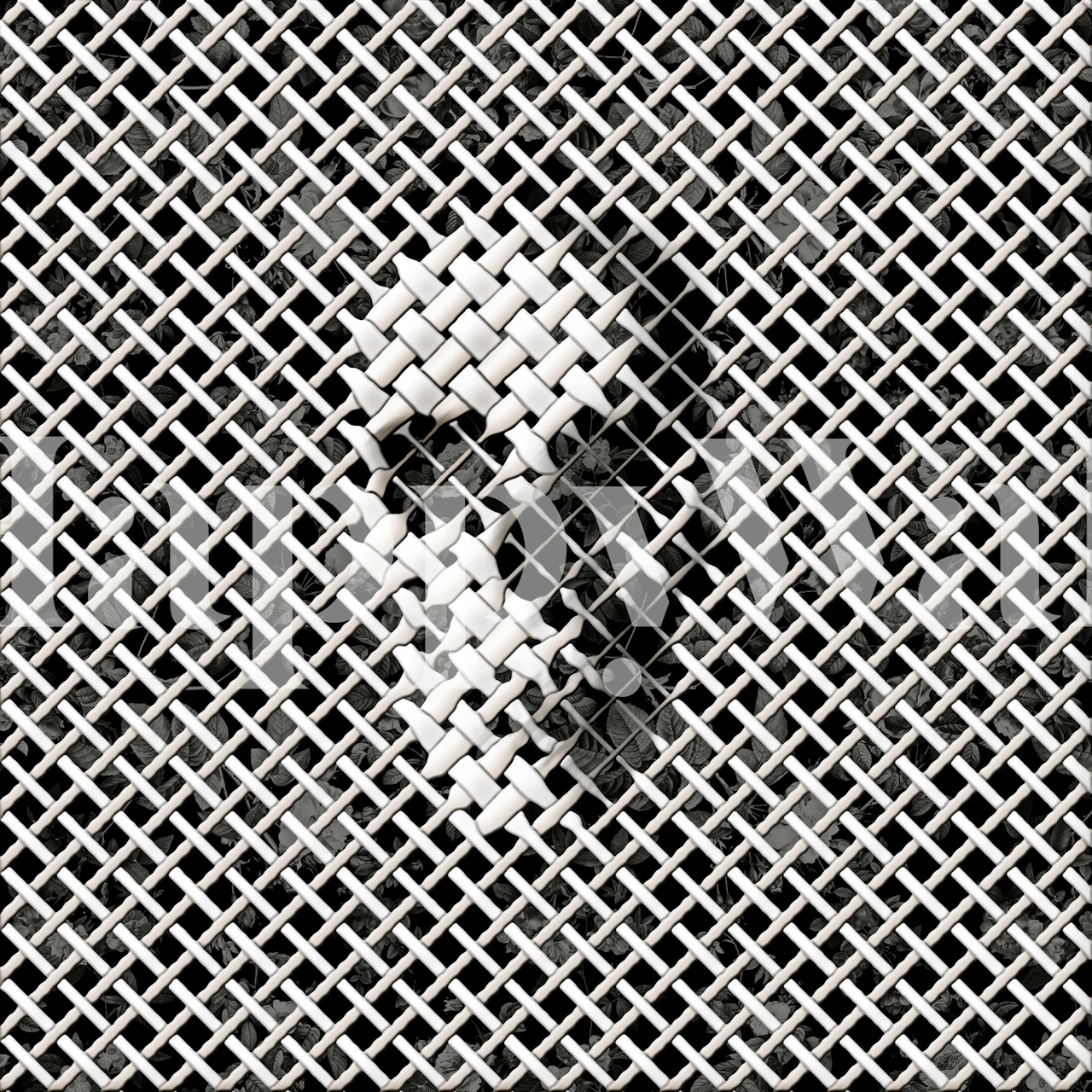 Papel pintado Wicker Skull en una habitación