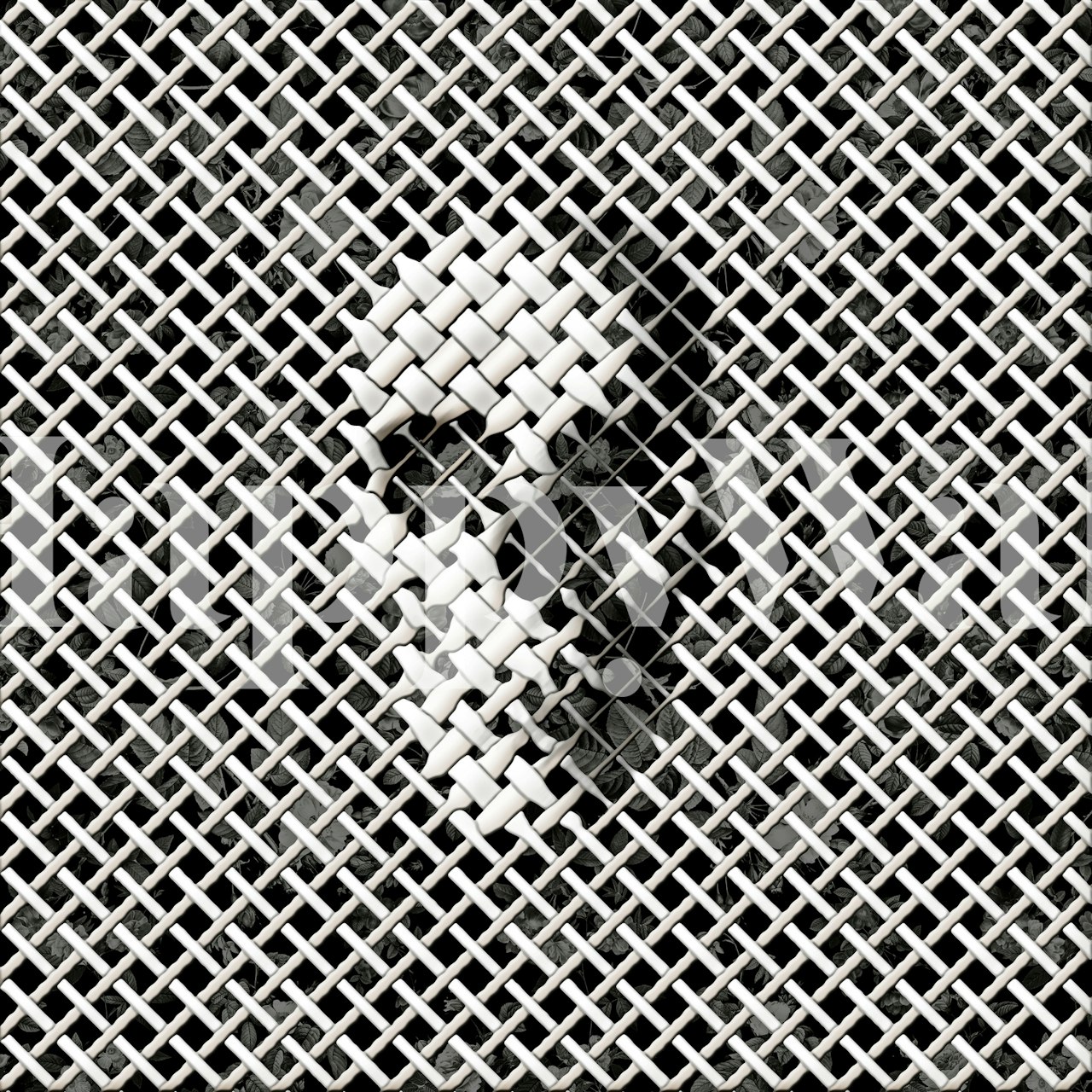 Wicker Skull Tapete in einem Zimmer