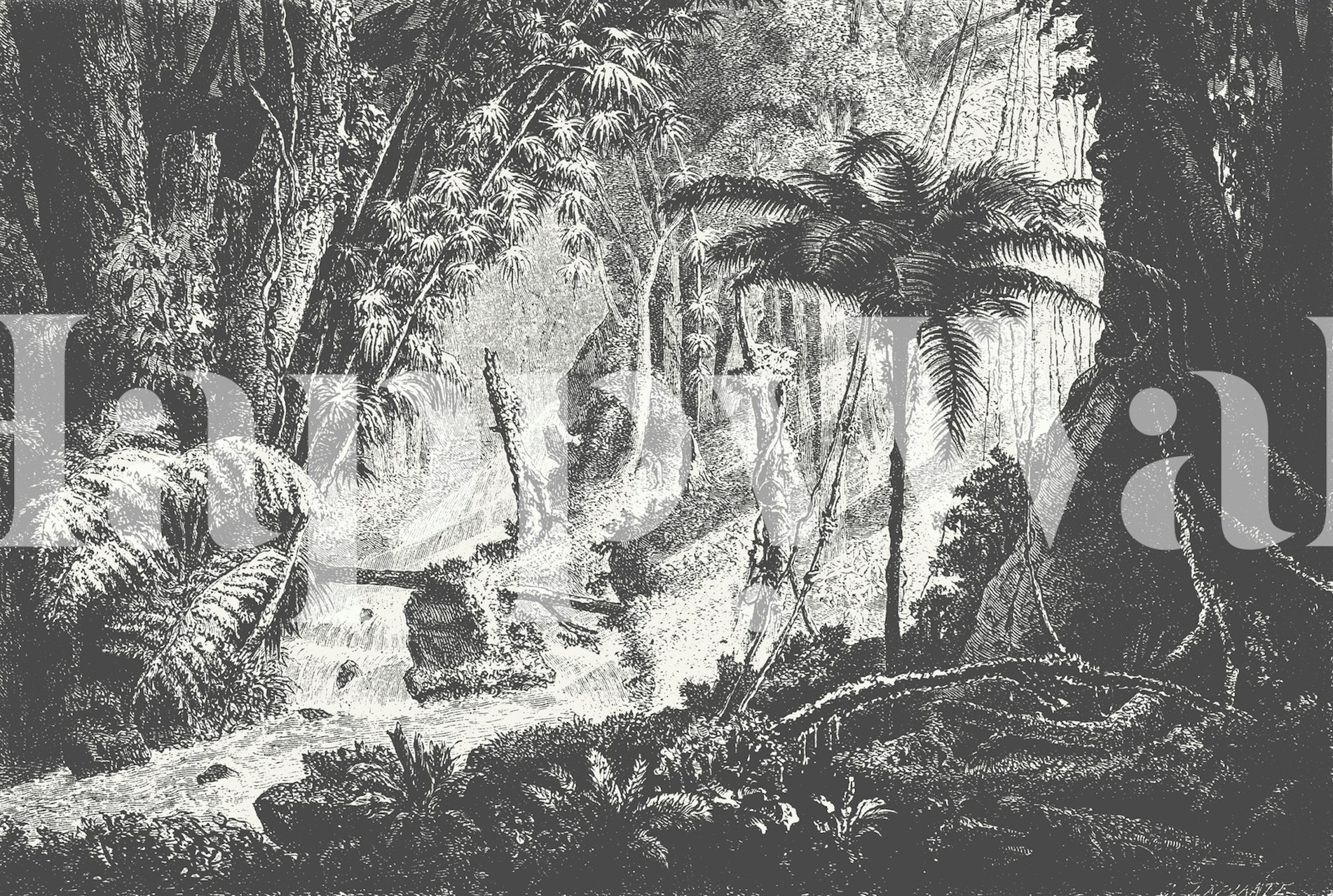 Black and white wallpaper featuring a tropical jungle scene with palm trees and ferns