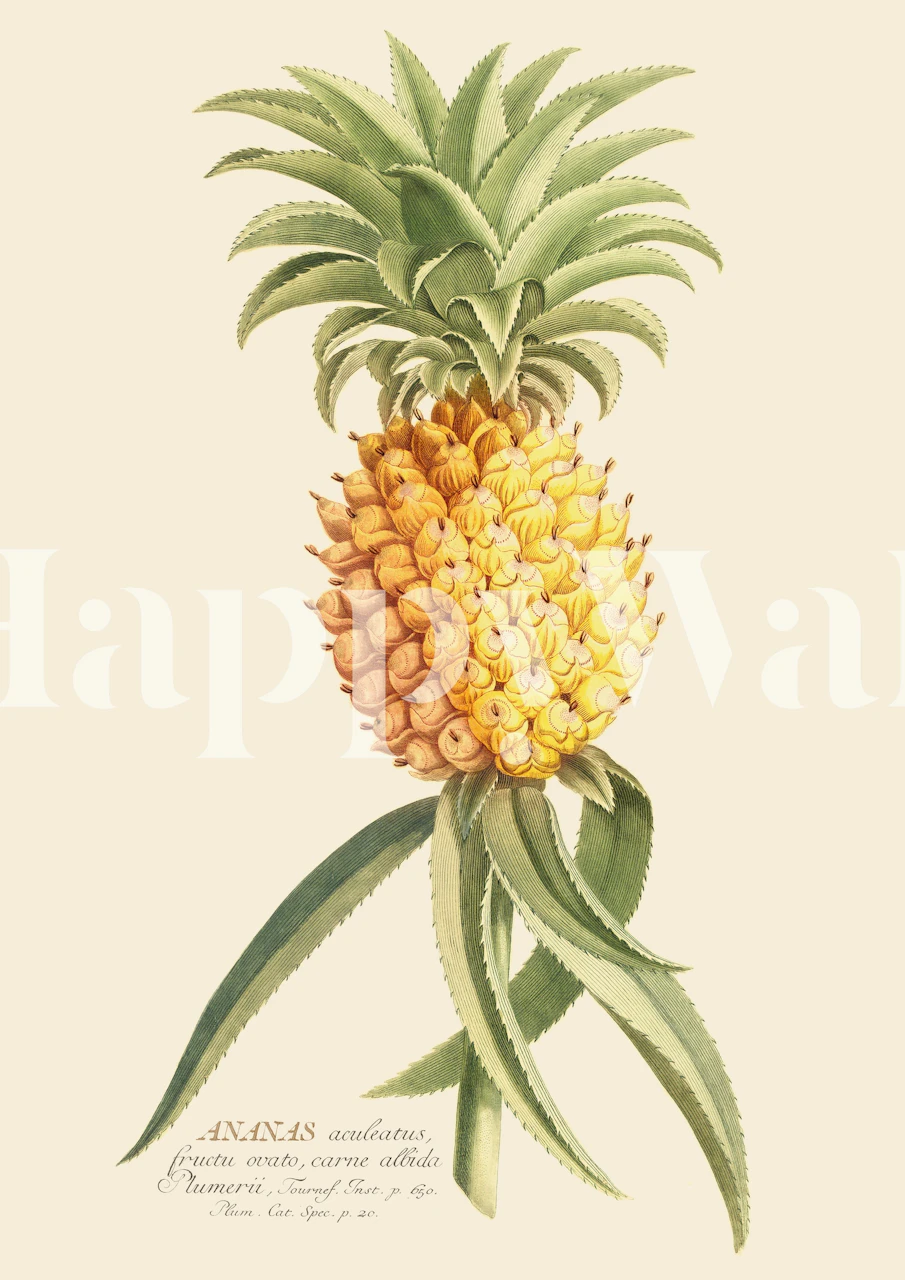 Vintage botanical illustration of a pineapple with foliage on a soft background.