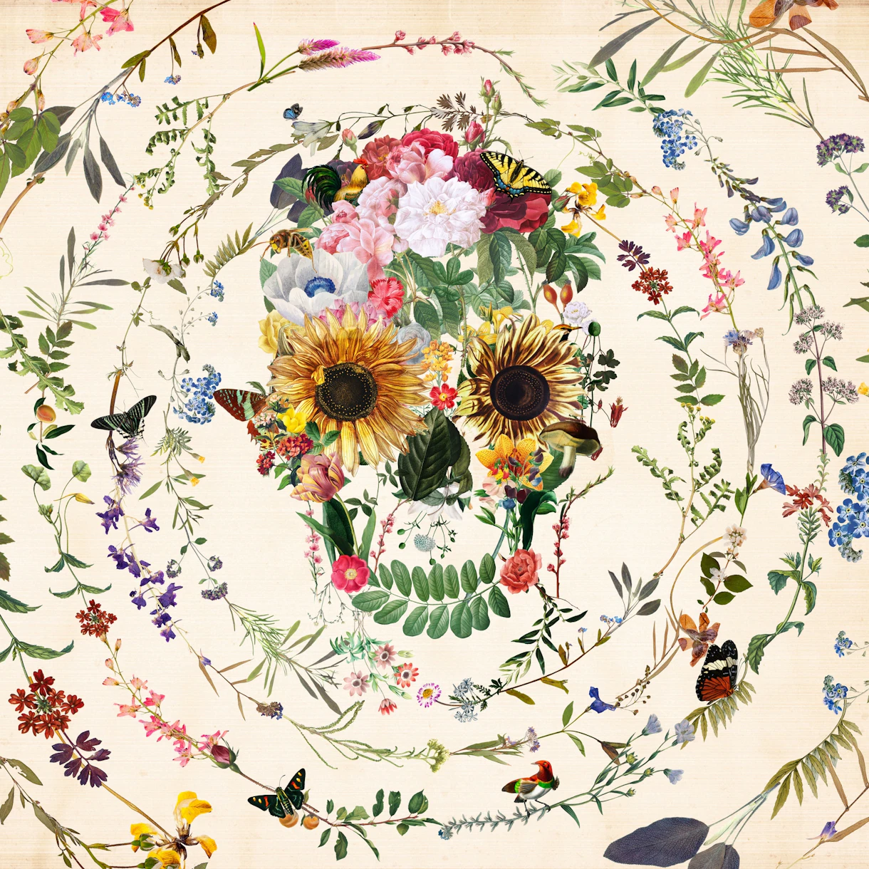 Circle Of Life Skull wallpaper - Happywall